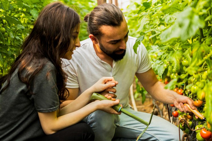 Review Of Uzbekistan's agricultural sector in 2022 Review Of Uzbekistan's agricultural sector in 2022