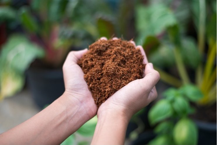 Forteco Optimum: new generation coco substrate