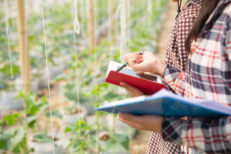 Five trends in sustainable agribusiness to watch in 2024 Five trends in sustainable agribusiness to watch in 2024