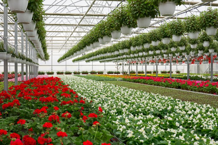 Essential greenhouse insurance coverage Essential greenhouse insurance coverage