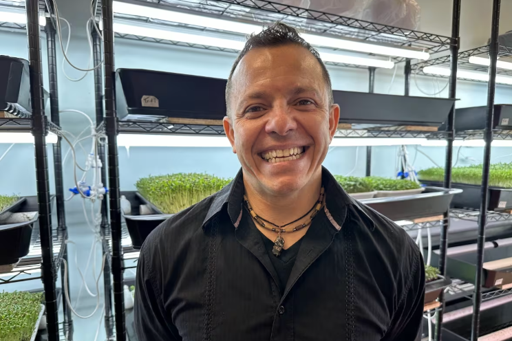 Hidden farm sprouts interest in microgreens