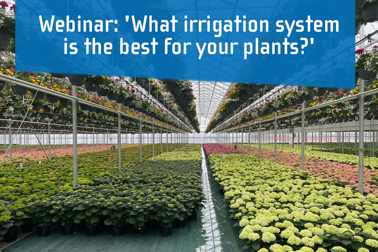 Discover the perfect irrigation system for your plants