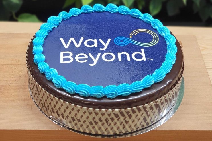 WayBeyond finds the balance to steer plants to success