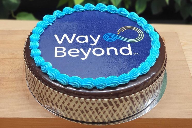 WayBeyond finds the balance to steer plants to success WayBeyond finds the balance to steer plants to success