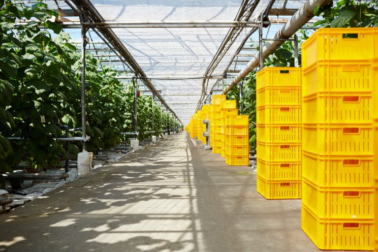 Riseholme's new glasshouse set to revolutionise British agri