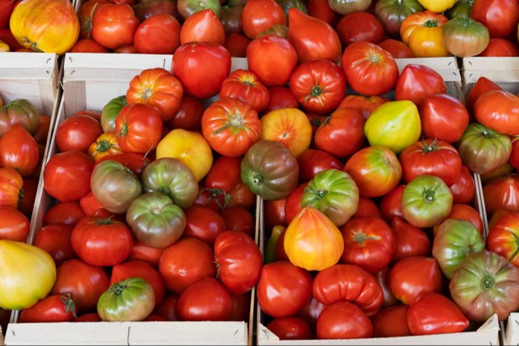 Baculovirus success in Sicily: A triumph for farmers Baculovirus success in Sicily: A triumph for farmers