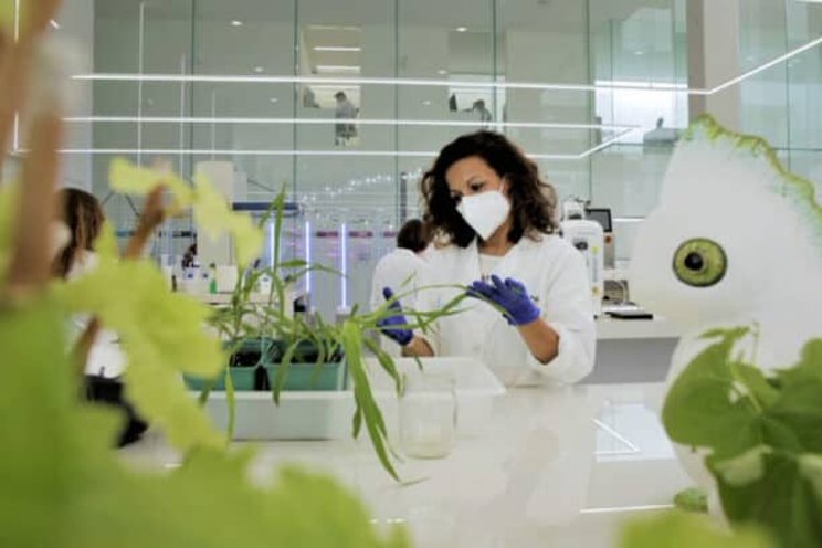 Bayer links up with Kimitec for biological crop protection Bayer links up with Kimitec for biological crop protection