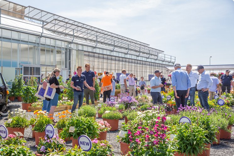 FlowerTrials widens its regional horizons