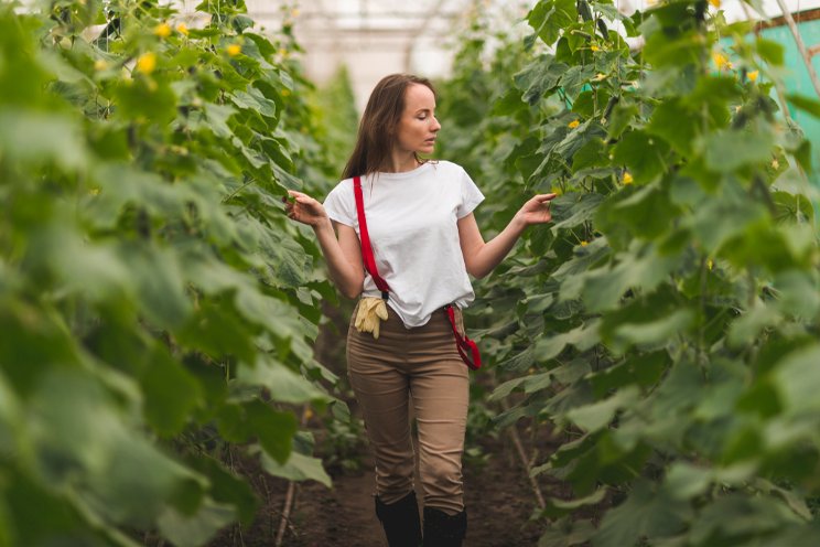 Is AI the answer to sustainable farming?