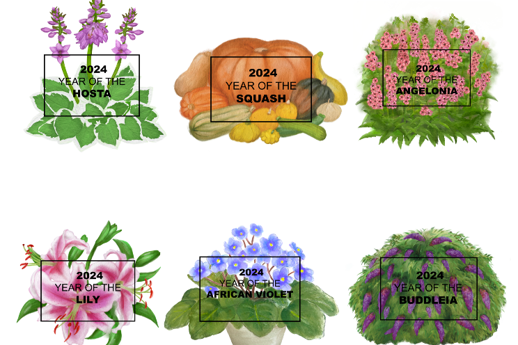 2024 “Year of the” web pages are now live 2024 “Year of the” web pages are now live