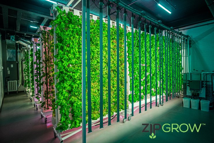 ZipGrow announces new supply partnership with Agritecture ZipGrow announces new supply partnership with Agritecture