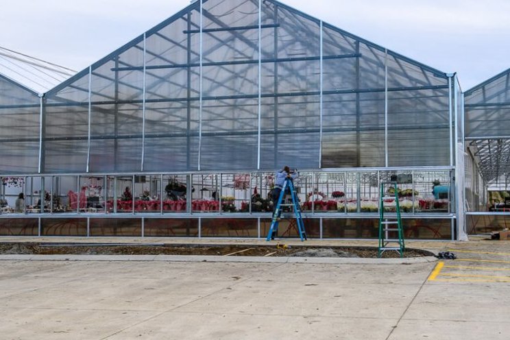Maximize profits with spring greenhouse maintenance Maximize profits with spring greenhouse maintenance