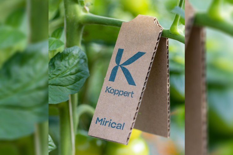 Revolutionary packaging simplifies and maximizes whitefly control Revolutionary packaging simplifies and maximizes whitefly control