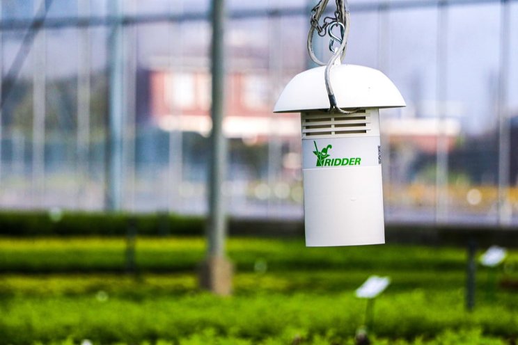 Greenhouse weather station contributes to an optimal climate