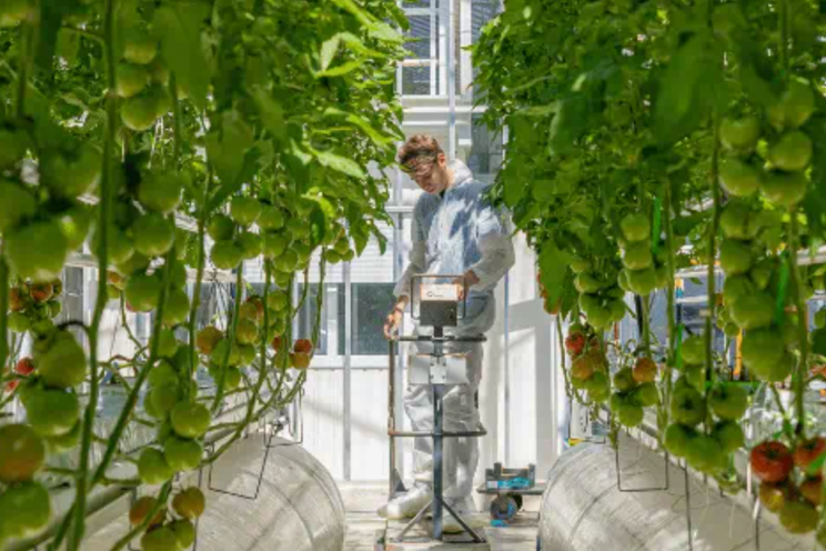 Ultra-Clima: Global horti with proven high-tech solutions