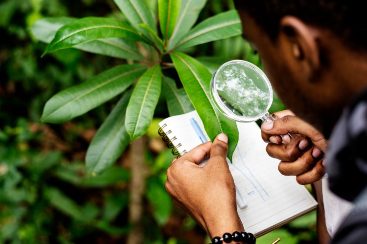 4 key benefits of biological crop protection 4 key benefits of biological crop protection