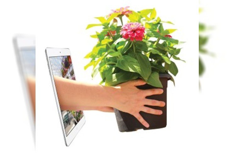 How to use e-commerce in your greenhouse How to use e-commerce in your greenhouse