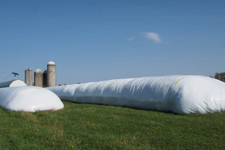 New regulation to boost recycling of agri plastics New regulation to boost recycling of agri plastics