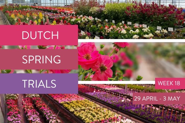 Save the date | Dutch Spring Trials in April