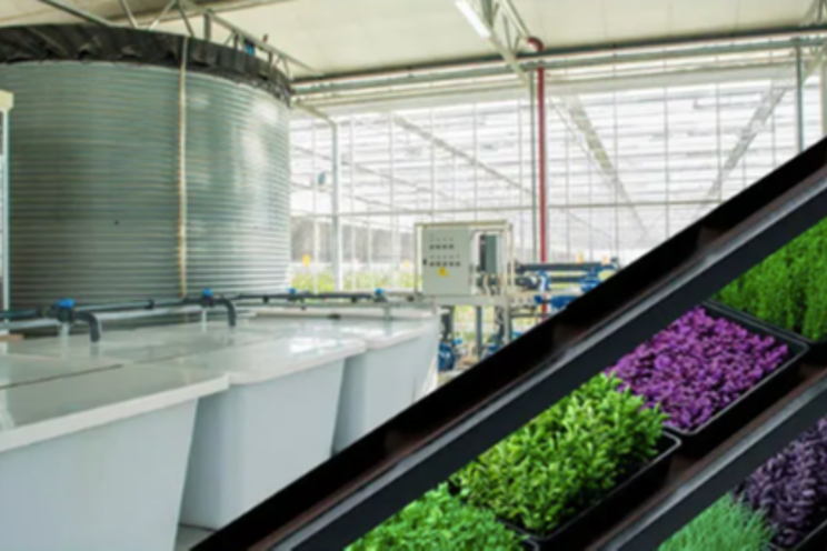 Water circularity best practices to help CEA operations Water circularity best practices to help CEA operations