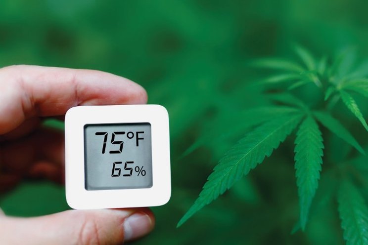 Climate optimization for cannabis