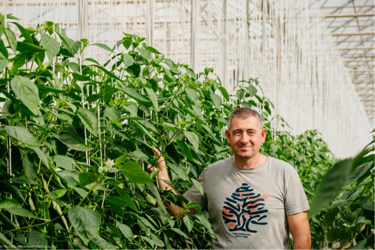 Unprecedented dimensions reached by Almeria greenhouse project