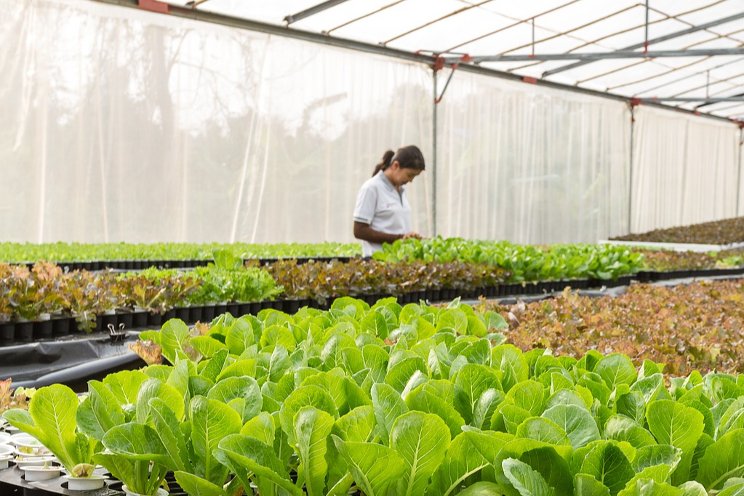 CHAP helps to make innovative agri-tech ideas a reality CHAP helps to make innovative agri-tech ideas a reality