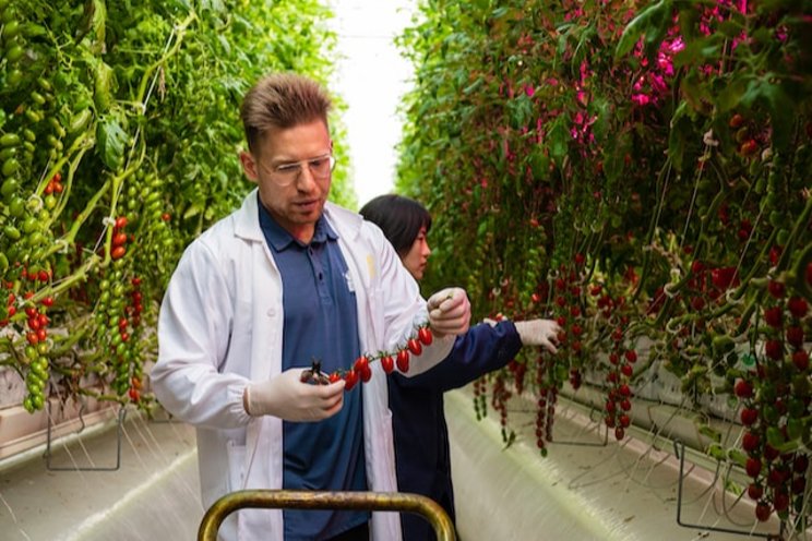 New food traceability rules might affect growers New food traceability rules might affect growers
