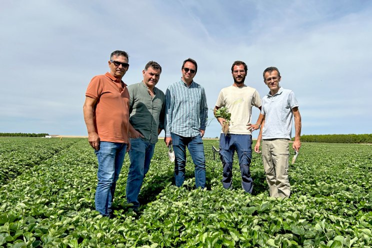 EL PINAR maintains its growth in all marketed varieties EL PINAR maintains its growth in all marketed varieties