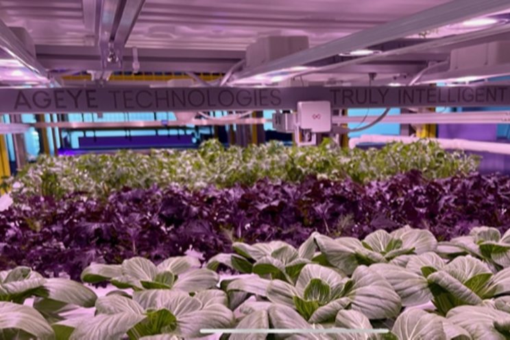 The next phase of development for vertical farming