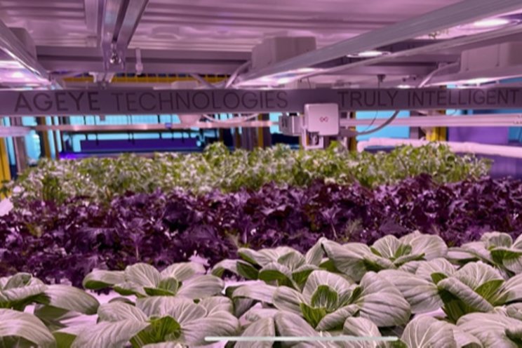 The next phase of development for vertical farming The next phase of development for vertical farming