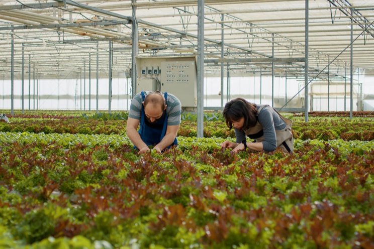 Do more in your greenhouse with less energy use Do more in your greenhouse with less energy use