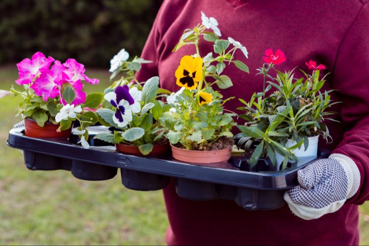 8 things U.S. retailers and their consumers are looking for from growers 8 things U.S. retailers and their consumers are looking for from growers