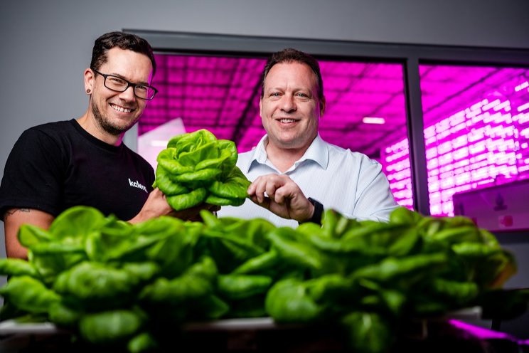 Kalera delivers the freshest lettuce with Philips LEDs