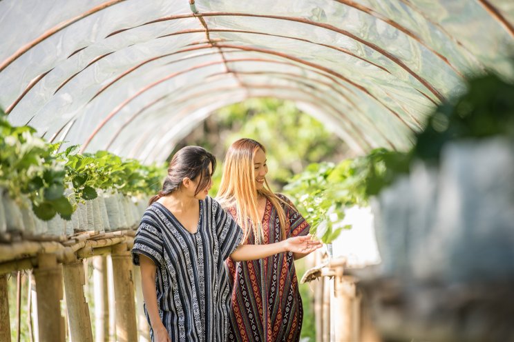 Greenhouse agriculture, a way forward for Sri Lanka Greenhouse agriculture, a way forward for Sri Lanka