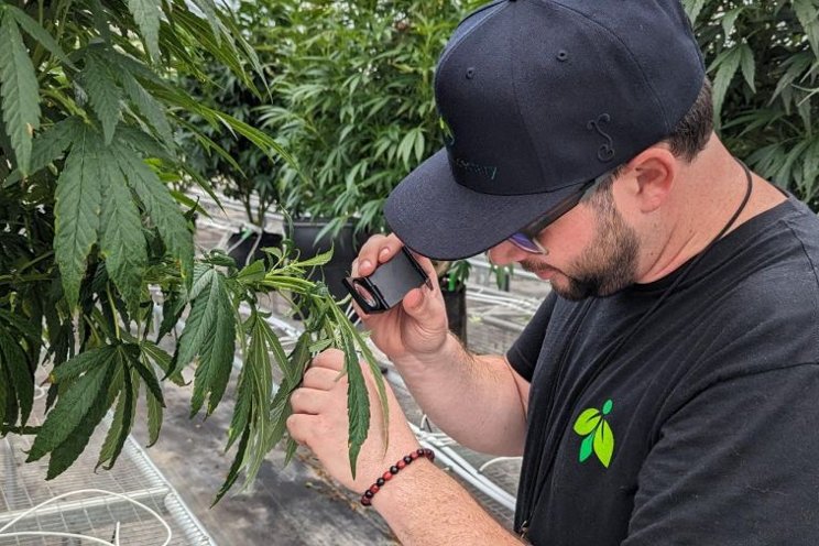 The next era of greenhouse crop protection is here The next era of greenhouse crop protection is here
