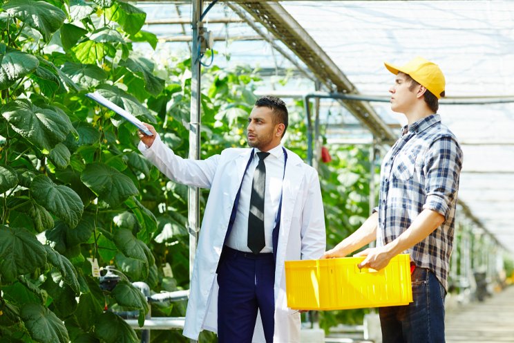 Don't delay the future of your horticulture business Don't delay the future of your horticulture business