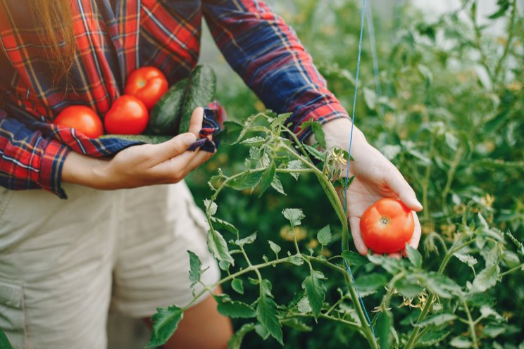 New biological solutions to growers New biological solutions to growers