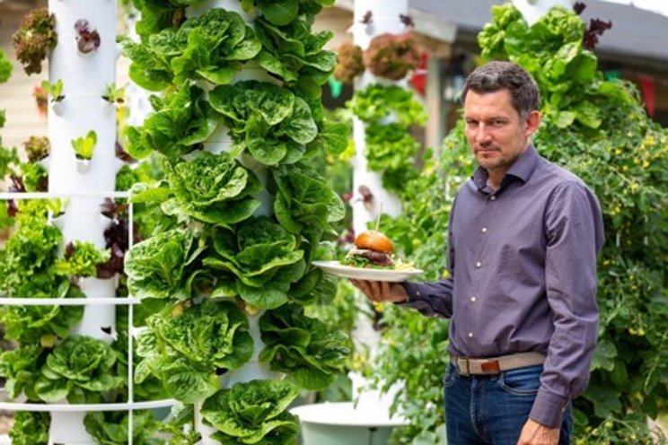 The future of farming with vertical greenhouse marvel