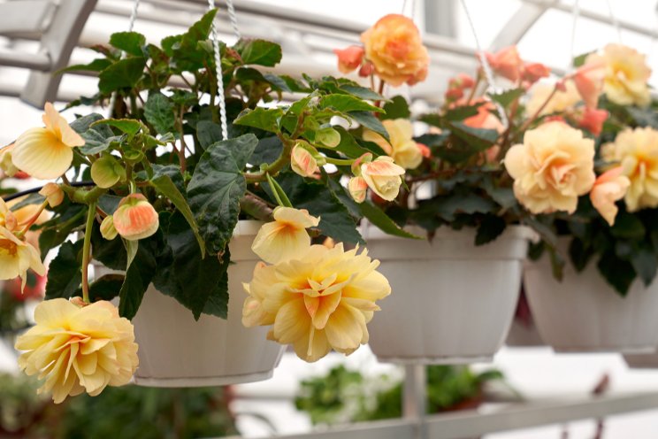 Top 5 home and garden trends for 2023 Top 5 home and garden trends for 2023