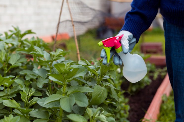 Crop yields would decline 70% without pesticides