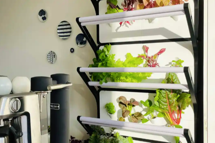 Grobrix For Home: Vertical farming at home
