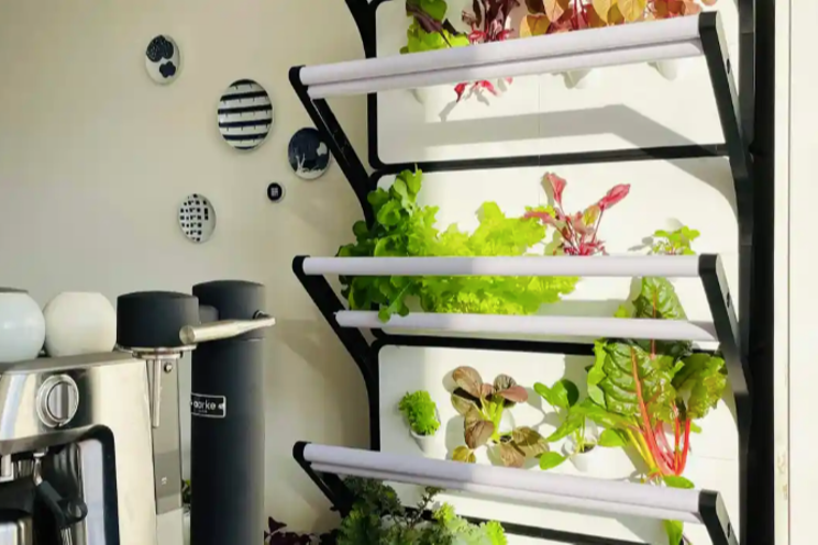 Grobrix For Home: Vertical farming at home
