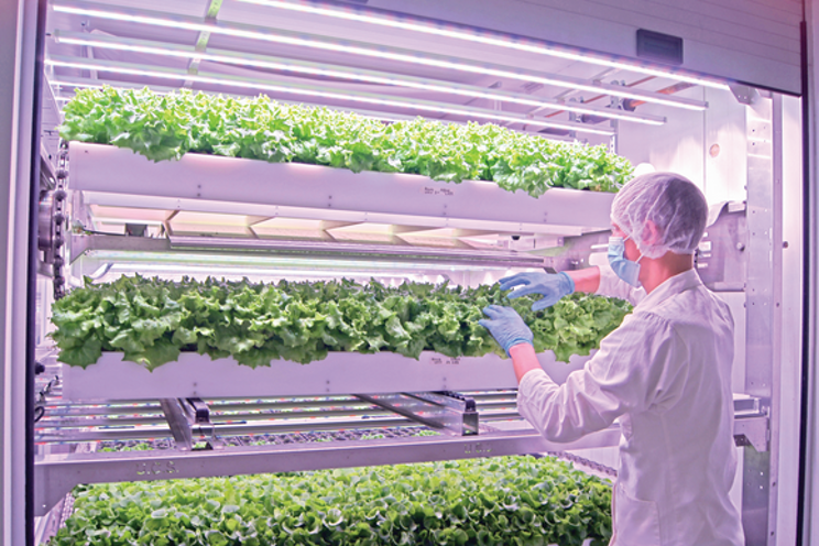 Is vertical farming profitable? Is vertical farming profitable?