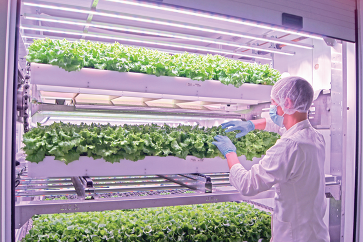 Is vertical farming profitable?