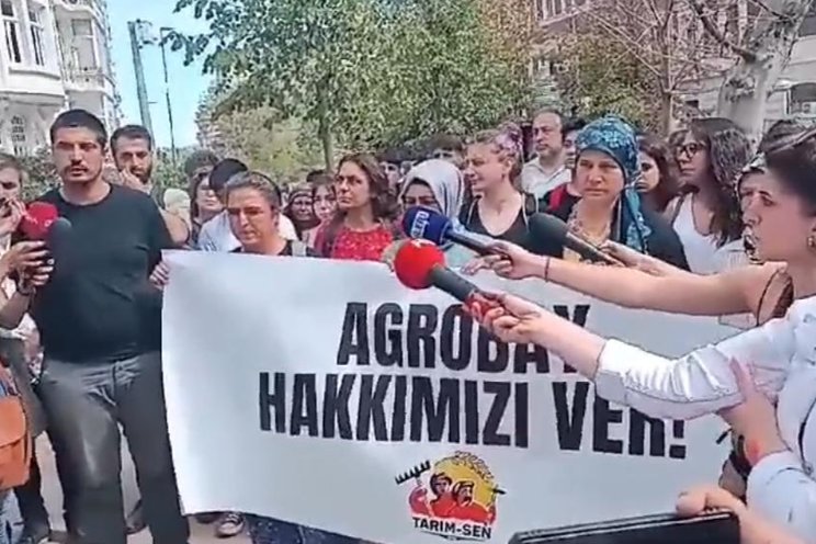 Greenhouse workers protest outside German, Russian embassies Greenhouse workers protest outside German, Russian embassies
