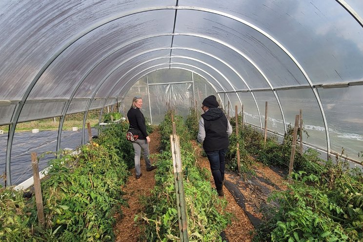 Forging pathways to land access for BIPOC farmers
Forging pathways to land access for BIPOC farmers