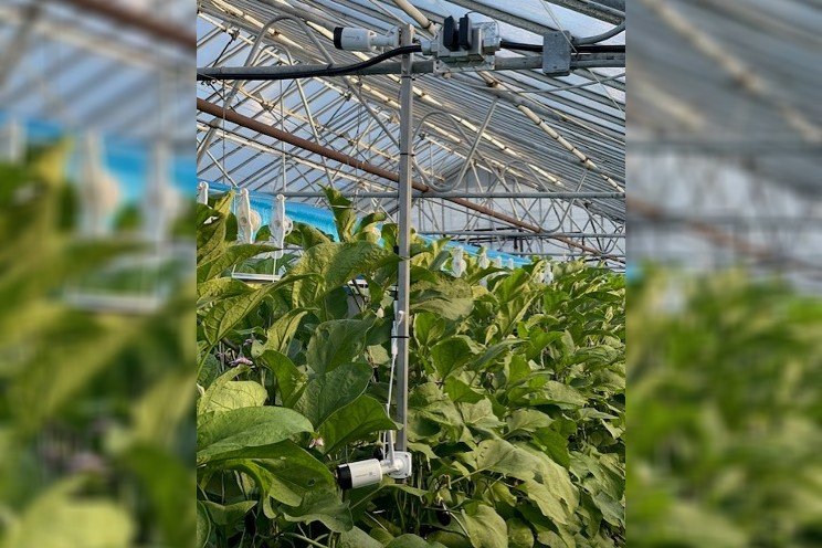 Driving autonomous greenhouse growth Driving autonomous greenhouse growth
