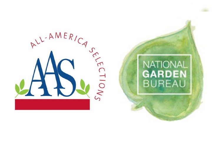 AAS and NGB merge into one organization
