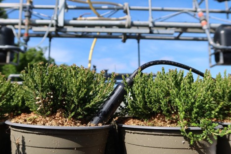 Improved pot plant cultivation via digital monitoring